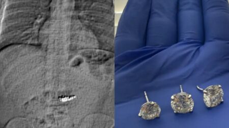 Recovered Stolen Tiffany & Co. Diamonds