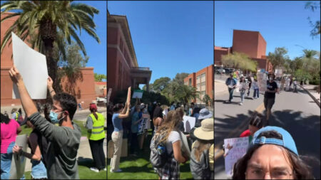 Protestors at the University of Arizona in Tucson advocating for DEI