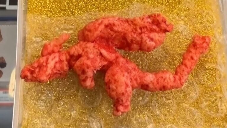 Pokemon-Shaped Flamin’ Hot Cheetos, ‘Cheetozard’ Gets Sold for $88,000: ‘This Hobby is Getting Out of Control’ Pokemon cheetos, Cheetozard
