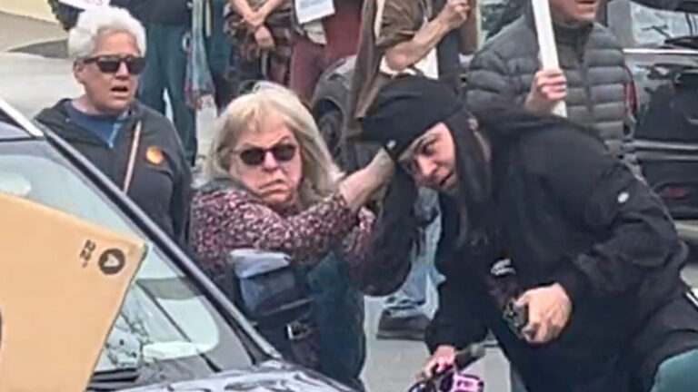 Insane California Trump Supporter Gets Arrested And Slammed Into a Car By An Old Lady After Trying to Taze Tesla Protestors ‘Good on Grandma’