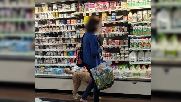 Woman Brings Dog Inside a Sprouts Farmer Market in Cedar Park, Despite Not Being Allowed Cedar Park Sprouts Farmer Market