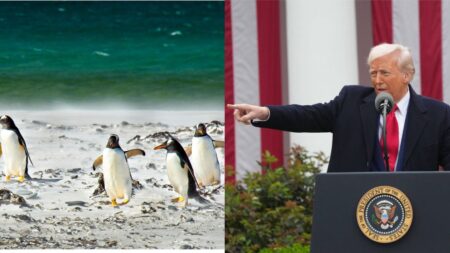 New Yorker Commerce Secretary Says Trump Imposed Tariffs on Islands 'Where Only Penguins Live' Because of China: 'Those Cunning Penguins!'