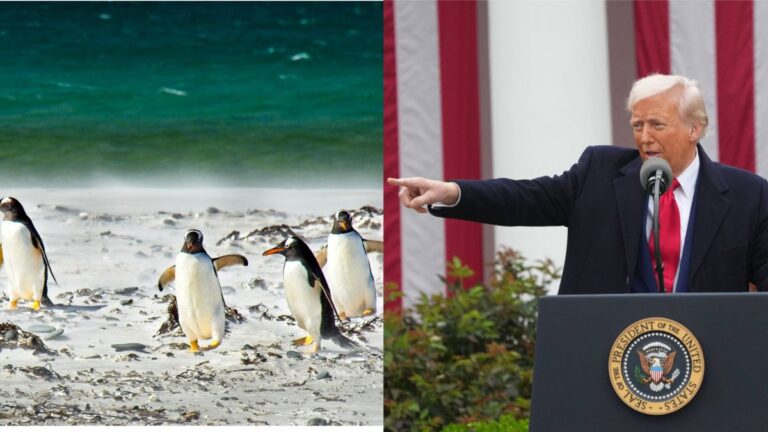 New Yorker Commerce Secretary Says Trump Imposed Tariffs on Islands ‘Where Only Penguins Live’ Because of China: ‘Those Cunning Penguins!’ New Yorker Commerce Secretary Says Trump Imposed Tariffs on Islands 'Where Only Penguins Live' Because of China: 'Those Cunning Penguins!'