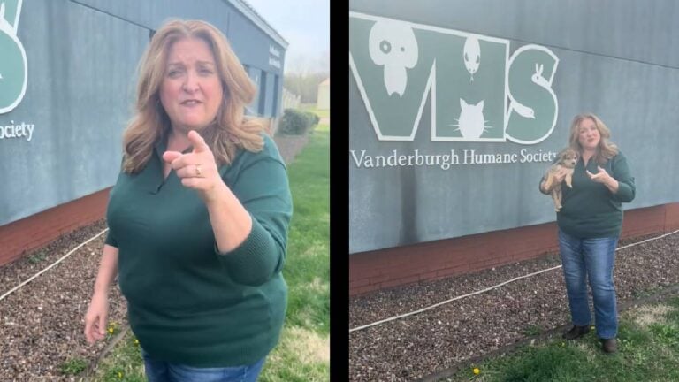 This Indiana Karen Is One I Would Definitely Want To Run Into: ‘How the Puppy Just Materialized Out of Nowhere?’ Indiana animal shelter Karen