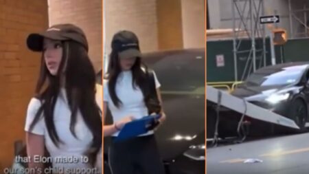 Influencer Sells Her Tesla Because Elon Failed To Support Their Child 'I'm Not the Only One Cleaning Up After His Messes'