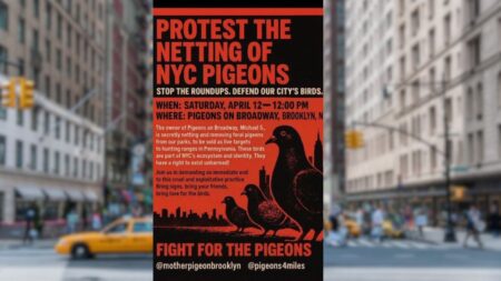 New York City Protestors Plan Gathering to Protect Pigeon Netting: ‘These Poor Creatures’ New York City Protestors Plan Gathering to Protect Pigeon Netting 'These Poor Creatures'