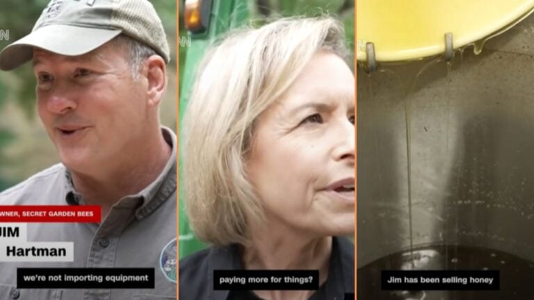 North Carolina Beekeeper Stung by Trump-Era Tariffs and Budget Cuts 'These People are Morons'