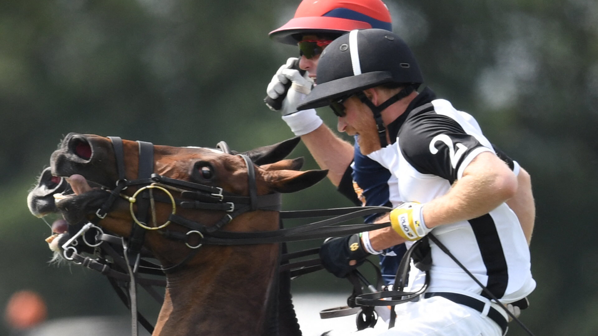 Prince Harry at a Polo Match.