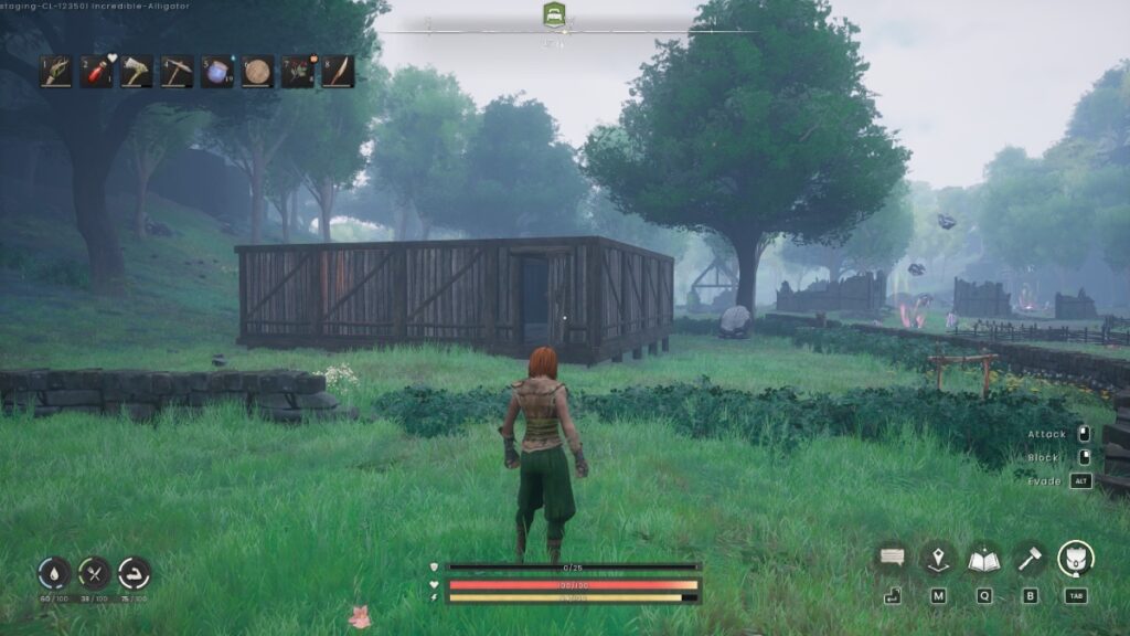 A base in Runescape Dragonwilds