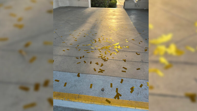 San Diego Balboa Park Confetti Litter