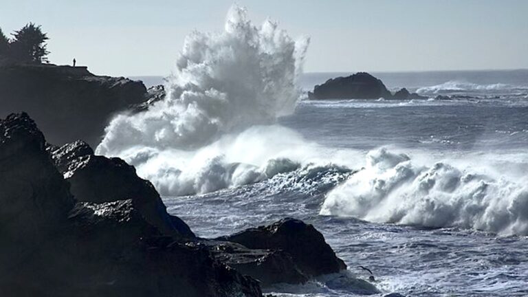Seaside Beach Rescue via Wiki Commons/Bonnie Moreland