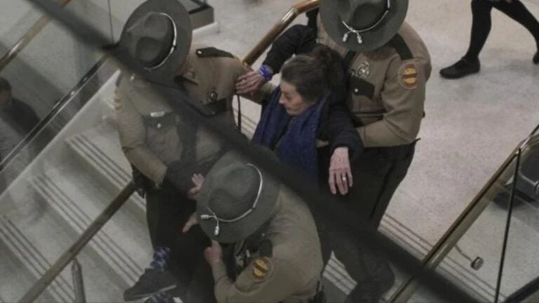 Tennessee Grandmother Arrested for Protesting Bill Against Undocumented Students 'There is Just a Moral Cost to This'