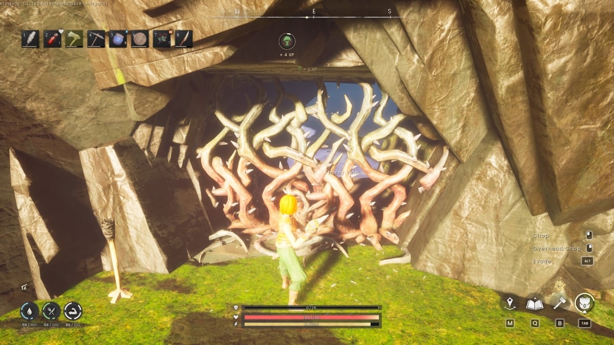 Thorny Vines blocking a cave