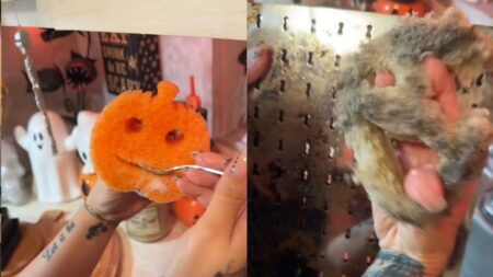 Florida Woman Goes Viral Because of Her Scrub Daddy: ‘He Looks Angry Too’ A picture of Florida woman's Scrub Daddy.