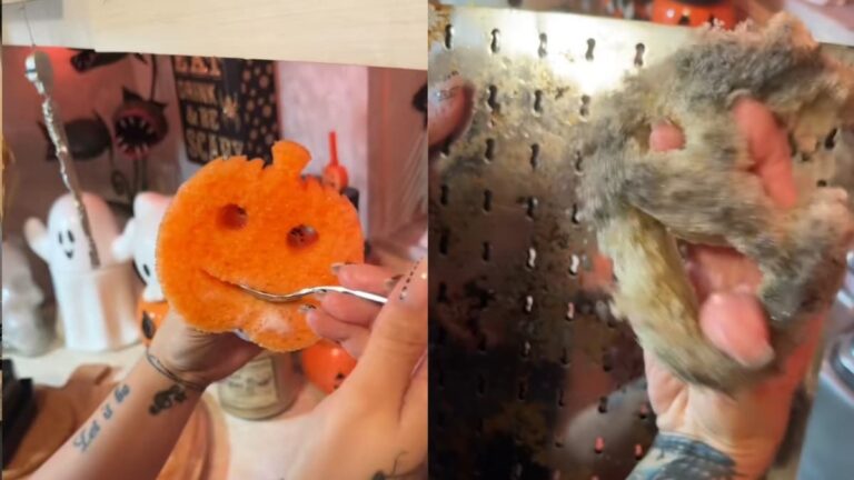 Florida Woman Goes Viral Because of Her Scrub Daddy: ‘He Looks Angry Too’ A picture of Florida woman's Scrub Daddy.