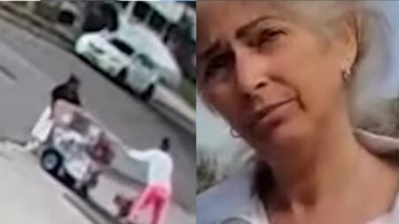 California Woman Attacks Pregnant Street Vendor in Racist Attack: ‘Lock Her Up’ A picture of the California woman.