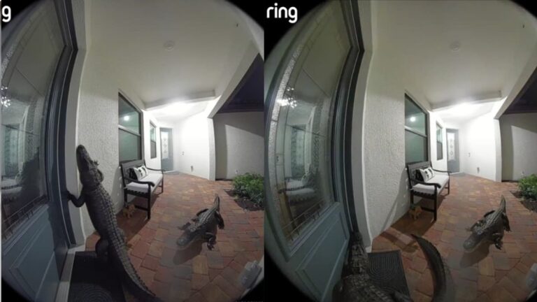 A picture outside the house of the Florida man.