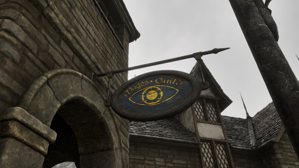 Oblivion joining the Mages Guild