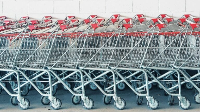 A row of shopping carts.