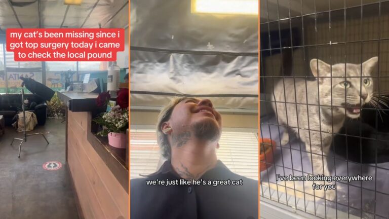 California Trans Man Reunited with Lost Cat and the Internet Has a Problem with It ‘Glad You Found Your Baby'