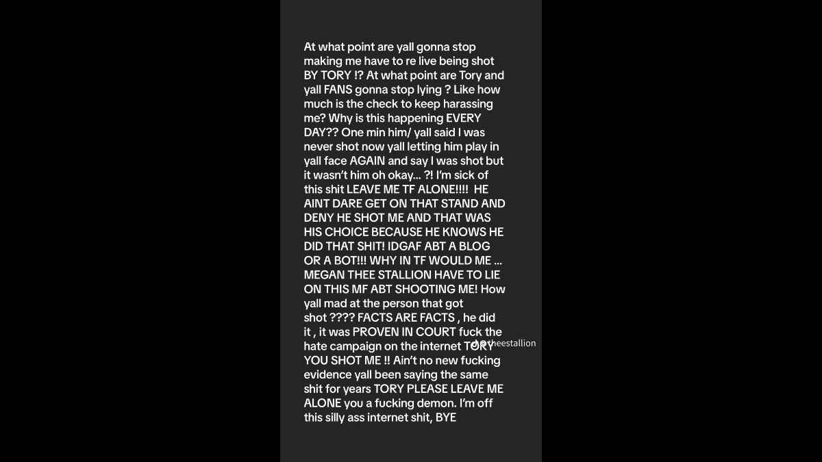 Megan Thee Stallion TikTok