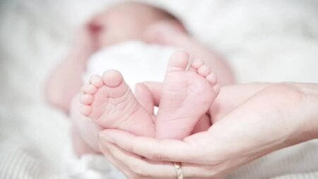 Woman in Minnesota Has To Pay 5K to Have Custody of Her Brother’s Sperm: ‘The Only Bullet-Proof Way’ Minnesota adopt brother child