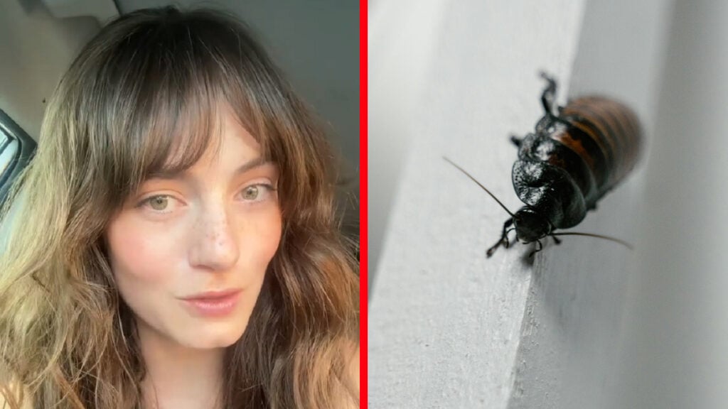 Florida Nurse Witnesses Cockroaches in Ears Twice in a Week, ‘I Can Handle Cardiac Distress All Day, But Bugs? No, Thank You’ Natalie Beeson, an ER nurse from Florida, next to a cockroach