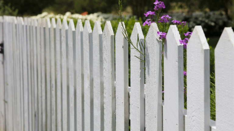 Neighbor Fence in Maine