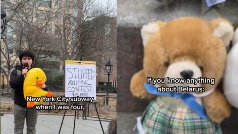 A picture of some stuffed animals at the New York man's contest.