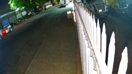 A picture of the California cybertruck owner.