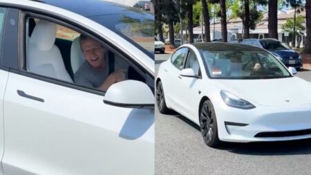 A picture of the California Tesla owner.