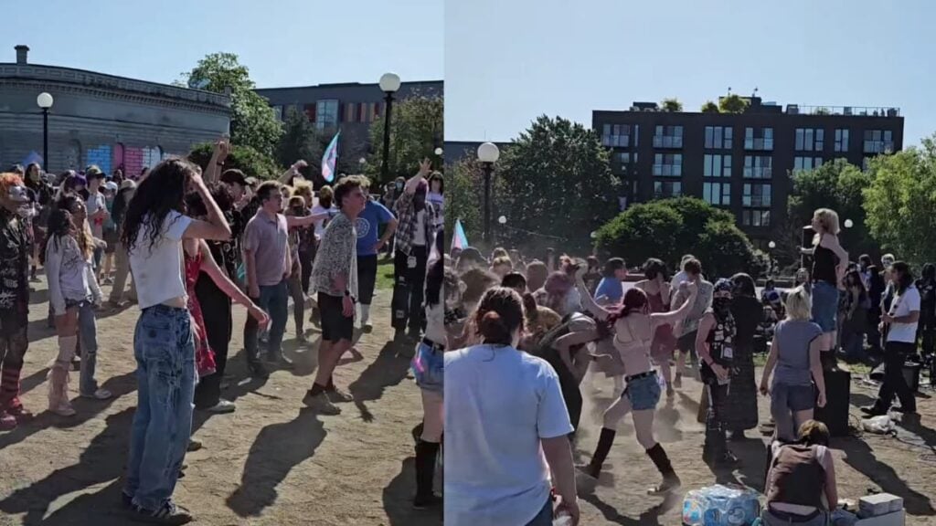 A picture of Seattle's young rebels.