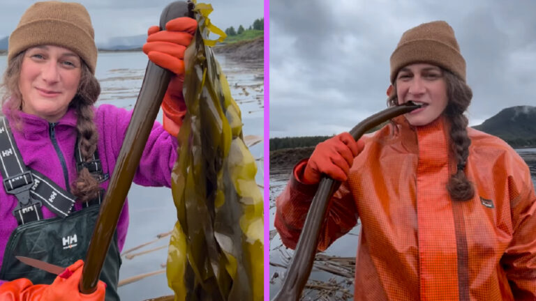 Alaskan Woman Loves Barnacles So Much She Starts Business Selling Them, ‘We Pickle These Where I Live’ alaskan woman harvesting barnacles for her business, Barnacle Foods
