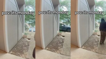 Car crashes into garden in Austin, Texas