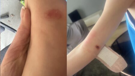 A picture taken by the Florida parents.