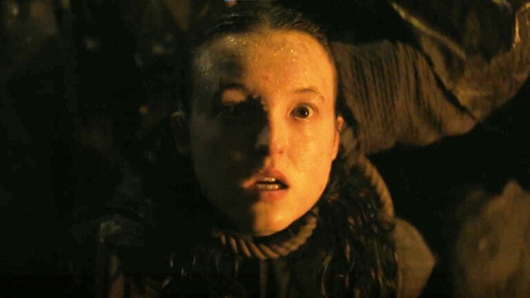 The Last of Us Season 2 finale