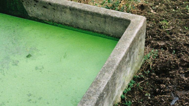 Florida Neighbors Illegally Dump Septic Waste and Contaminate the Next-Door Homeowner's Well