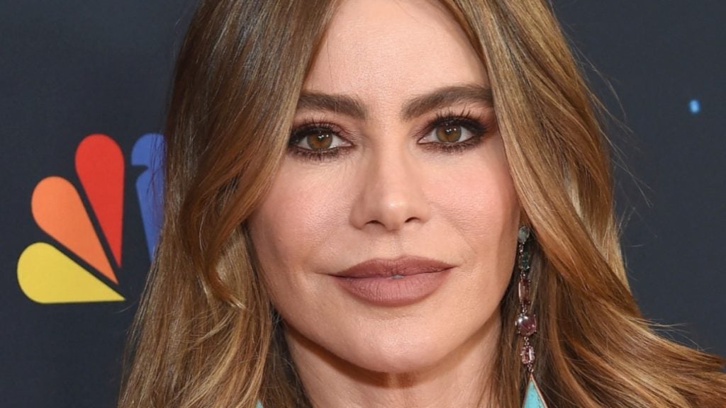 Sofia Vergara close up