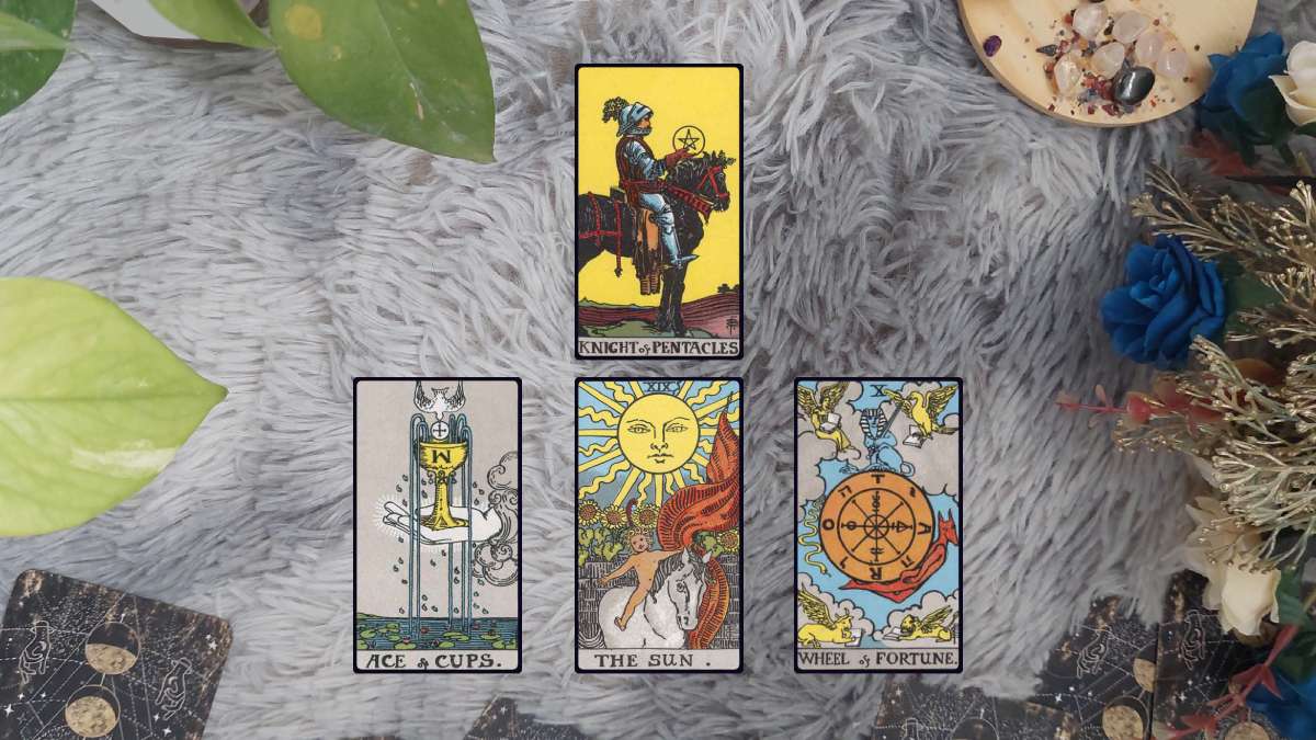 Tarot Draw June 6