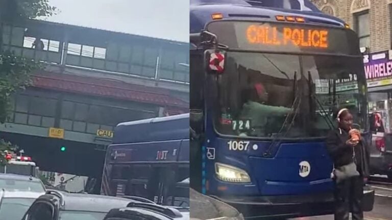 Furious New York Lady Halts Bus and Firetruck Over Petty Snub: ‘Call Police’ A picture of the New York lady.