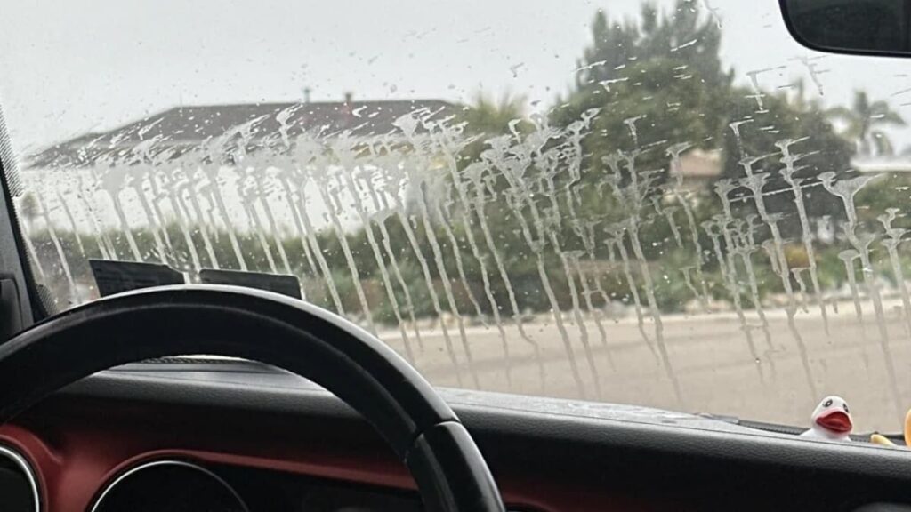 A picture of the San Diego vandalized car.