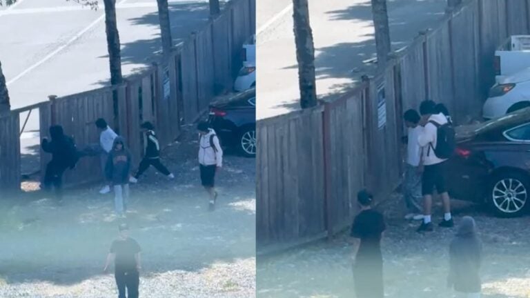 Six Unhinged Washington Teens Destroy Fence Before Bolting: ‘Make Them Pay’ A picture of the Washington punks.