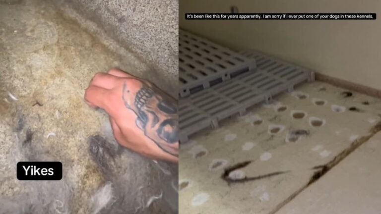 A picture taken by the Iowa worker.