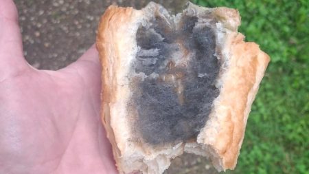 Moldy bread in baltimore