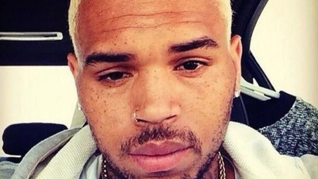 Chris Brown selfie