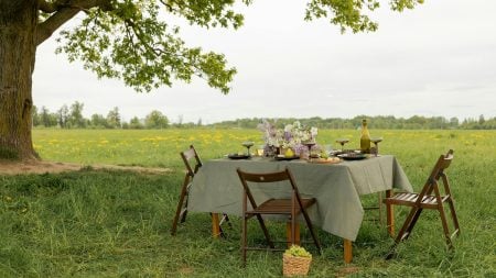decorated picnic table with chairs, next to a tree and field