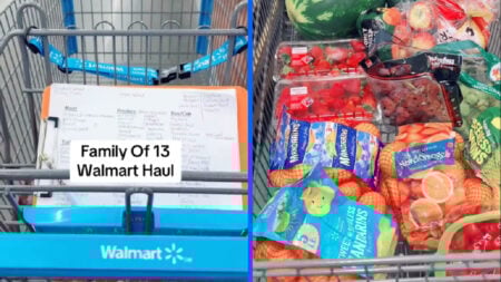 New York Couple Fall in Love After One Night Stand and Now Their Family is Growing, ‘How Big is Your Fridge?!!!’ doughertydozen tiktoker shopping at walmart in new york for eleven kids