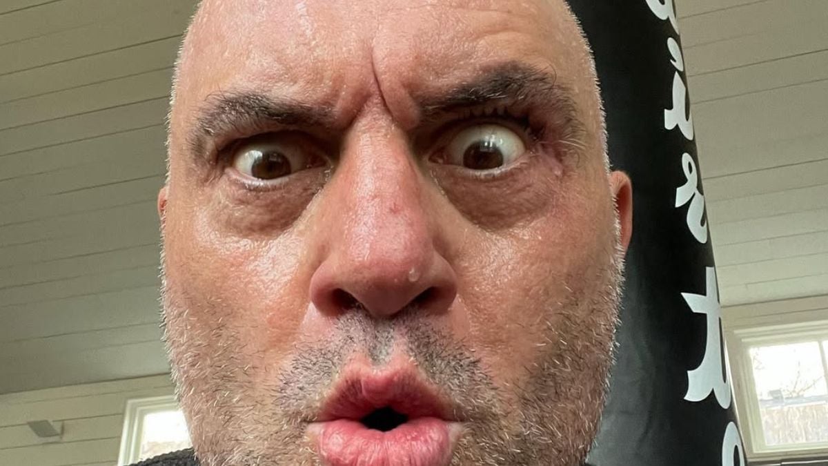 Joe Rogan selfie