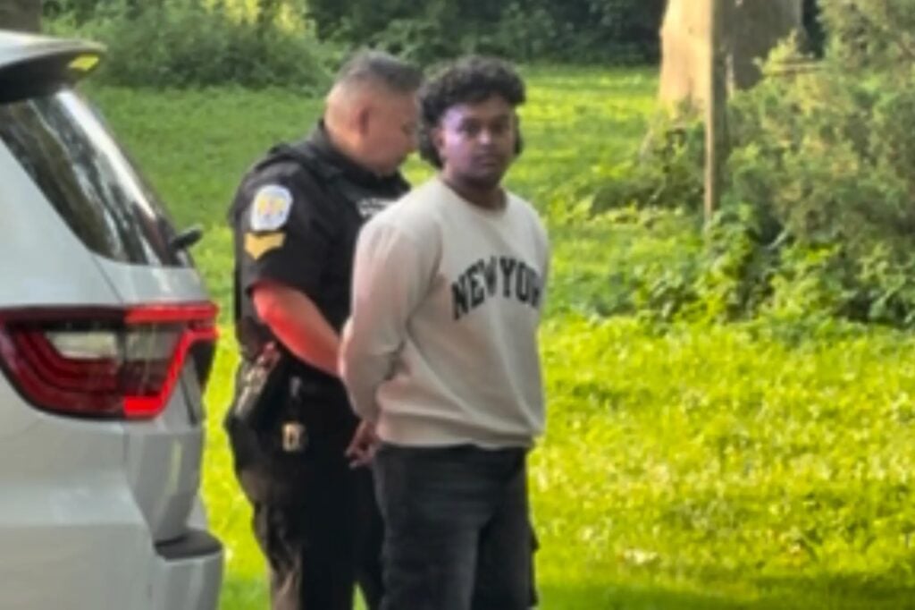 Kid arrested after stealing a swan