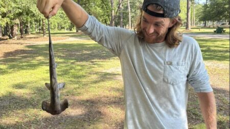 Shark Rains Down on Puzzled South Carolina Man in a Golf Course: ‘When Mother Nature Runs Out of Ideas’ Shark rain south carolina